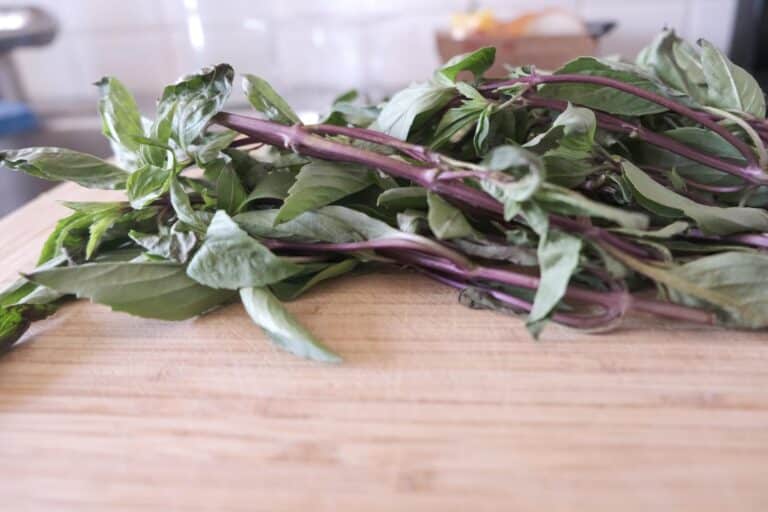 Fresh Thai basil