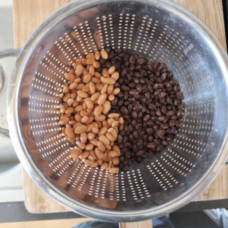 Pinto beans and black beans
